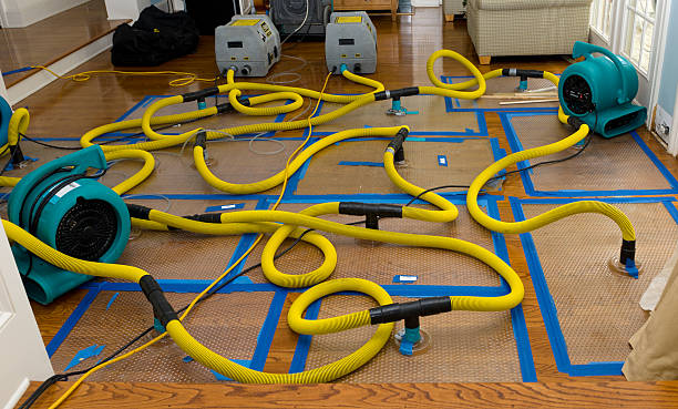 Professional Sewage Cleanup technician working in Whitehall, WI